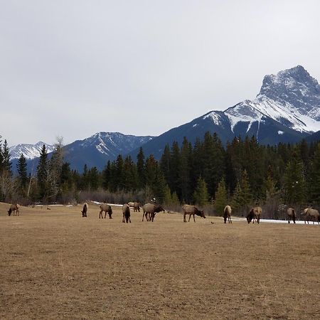 Enchanted Mountain Getaway Canmore Eksteriør bilde